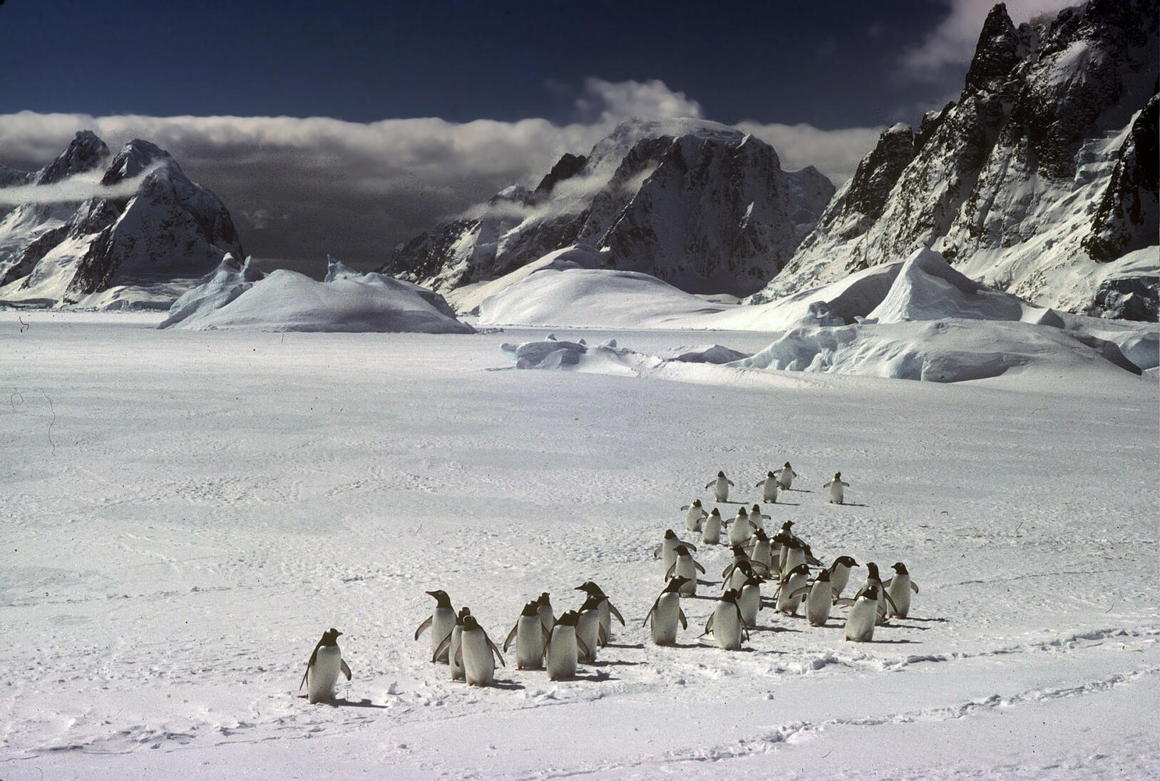 Retour de la vie à la fin de l&#39;hiver